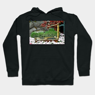 Japanese Spring Study 18 Hoodie